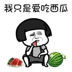 娱乐吃瓜君的瓜